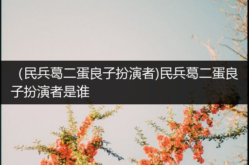 (民兵葛二蛋良子扮演者)民兵葛二蛋良子扮演者是谁