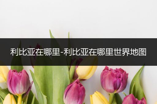 利比亚在哪里-利比亚在哪里世界地图