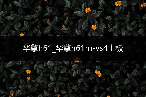 华擎h61_华擎h61m-vs4主板