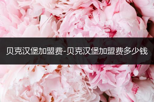 贝克汉堡加盟费-贝克汉堡加盟费多少钱