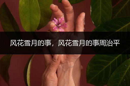 风花雪月的事,风花雪月的事周治平