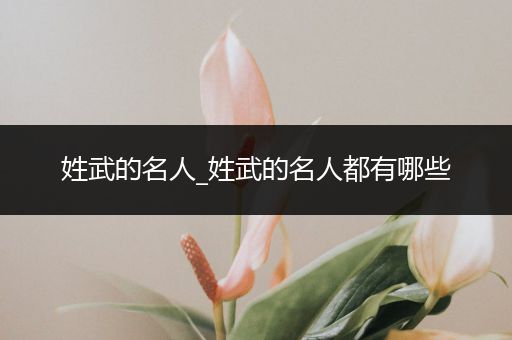 姓武的名人_姓武的名人都有哪些