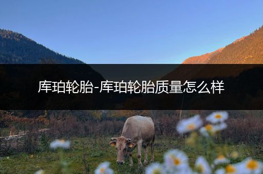 库珀轮胎-库珀轮胎质量怎么样