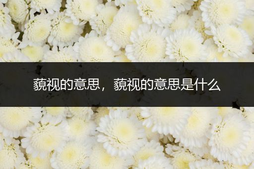 藐视的意思,藐视的意思是什么