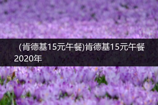 (肯德基15元午餐)肯德基15元午餐2020年