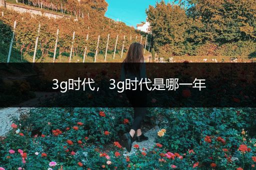 3g时代,3g时代是哪一年