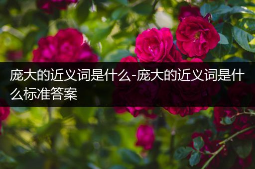 庞大的近义词是什么-庞大的近义词是什么标准答案