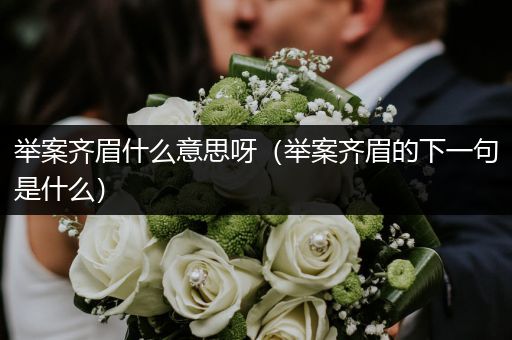 举案齐眉什么意思呀(举案齐眉的下一句是什么)