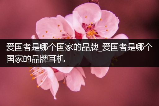 爱国者是哪个国家的品牌_爱国者是哪个国家的品牌耳机