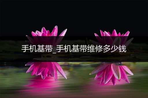 手机基带_手机基带维修多少钱