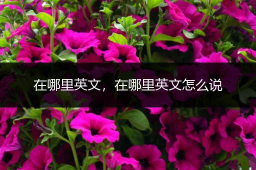 在哪里英文,在哪里英文怎么说