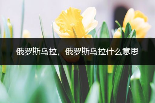 俄罗斯乌拉,俄罗斯乌拉什么意思