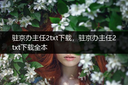 驻京办主任2txt下载,驻京办主任2txt下载全本