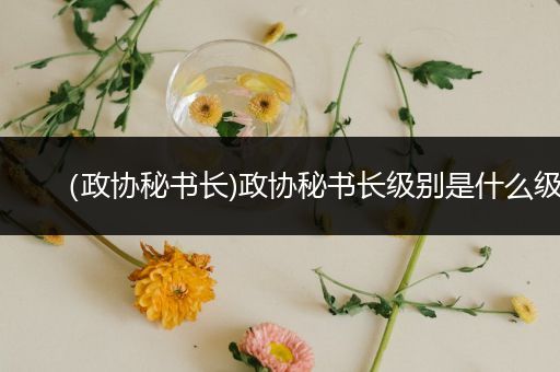 (政协秘书长)政协秘书长级别是什么级