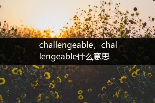 challengeable,challengeable什么意思