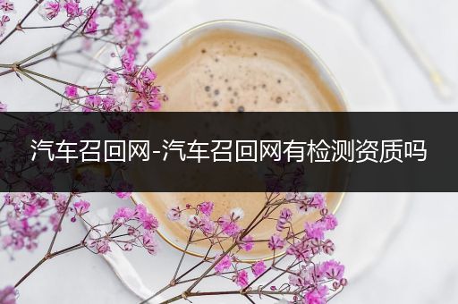 汽车召回网-汽车召回网有检测资质吗