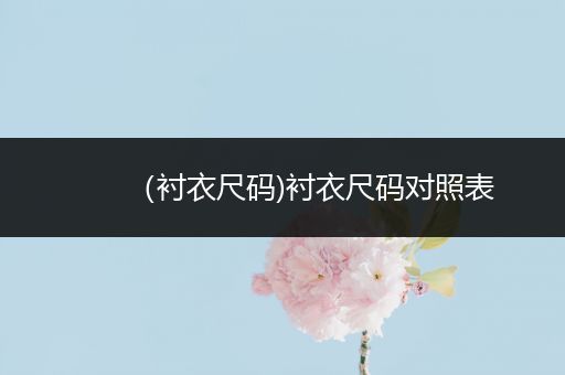 (衬衣尺码)衬衣尺码对照表