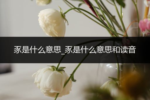 豕是什么意思_豕是什么意思和读音