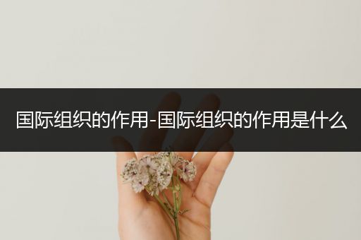 国际组织的作用-国际组织的作用是什么