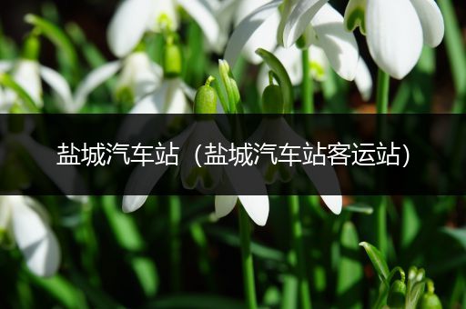 盐城汽车站(盐城汽车站客运站)