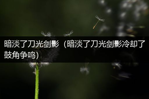 暗淡了刀光剑影(暗淡了刀光剑影冷却了鼓角争鸣)