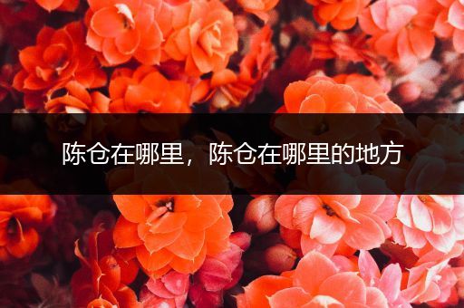 陈仓在哪里,陈仓在哪里的地方