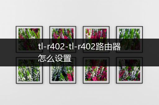 tl-r402-tl-r402路由器怎么设置