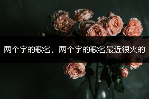 两个字的歌名,两个字的歌名最近很火的