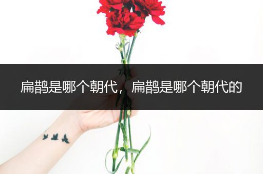 扁鹊是哪个朝代,扁鹊是哪个朝代的