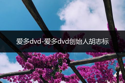 爱多dvd-爱多dvd创始人胡志标