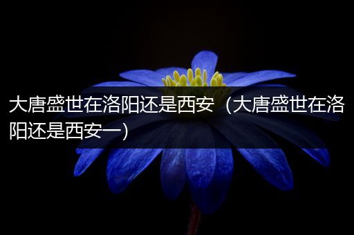 大唐盛世在洛阳还是西安(大唐盛世在洛阳还是西安一)