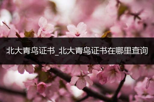 北大青鸟证书_北大青鸟证书在哪里查询