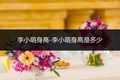 李小萌身高-李小萌身高是多少