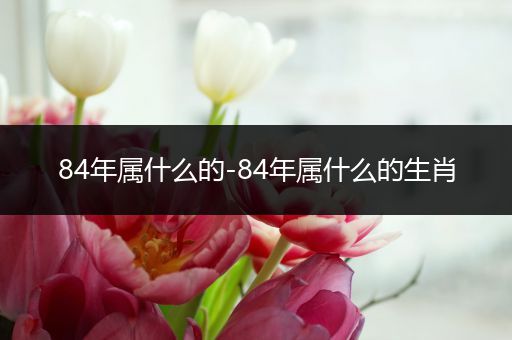 84年属什么的-84年属什么的生肖