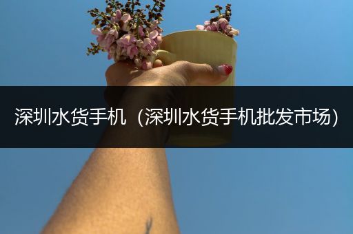 深圳水货手机(深圳水货手机批发市场)