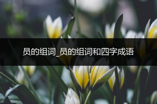 员的组词_员的组词和四字成语
