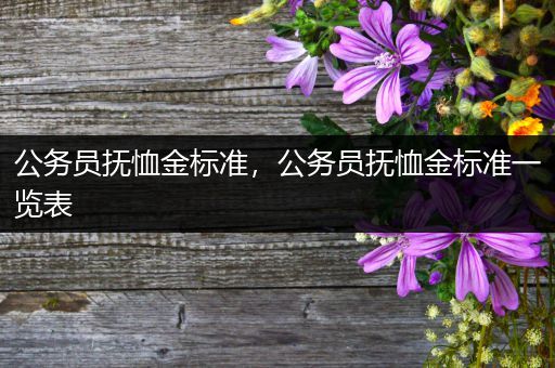 公务员抚恤金标准,公务员抚恤金标准一览表