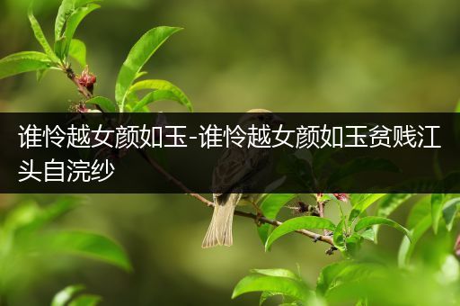 谁怜越女颜如玉-谁怜越女颜如玉贫贱江头自浣纱
