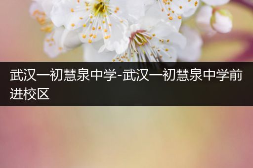武汉一初慧泉中学-武汉一初慧泉中学前进校区