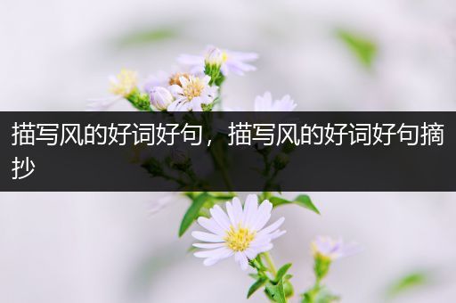 描写风的好词好句,描写风的好词好句摘抄