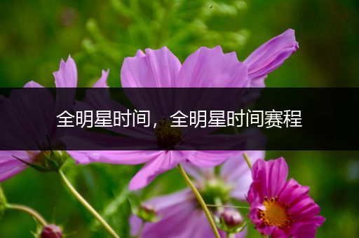 全明星时间,全明星时间赛程