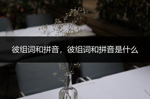 彼组词和拼音,彼组词和拼音是什么