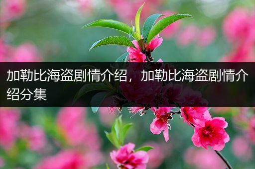 加勒比海盗剧情介绍,加勒比海盗剧情介绍分集