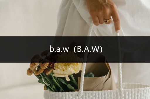 b.a.w(B.A.W)