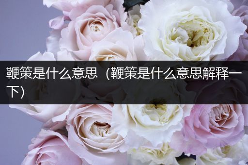 鞭策是什么意思(鞭策是什么意思解释一下)