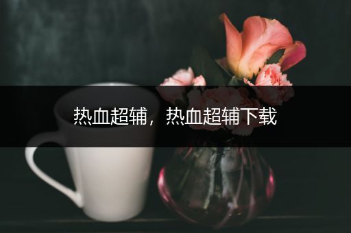 热血超辅,热血超辅下载