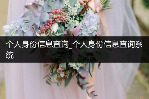 个人身份信息查询_个人身份信息查询系统