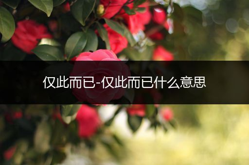 仅此而已-仅此而已什么意思