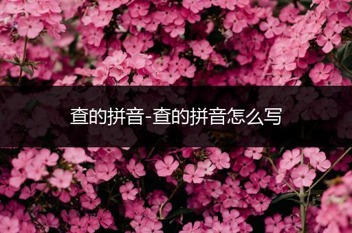 查的拼音-查的拼音怎么写