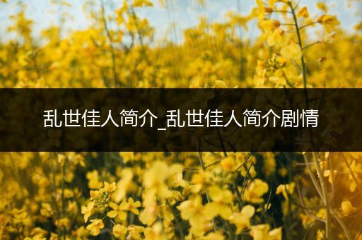 乱世佳人简介_乱世佳人简介剧情